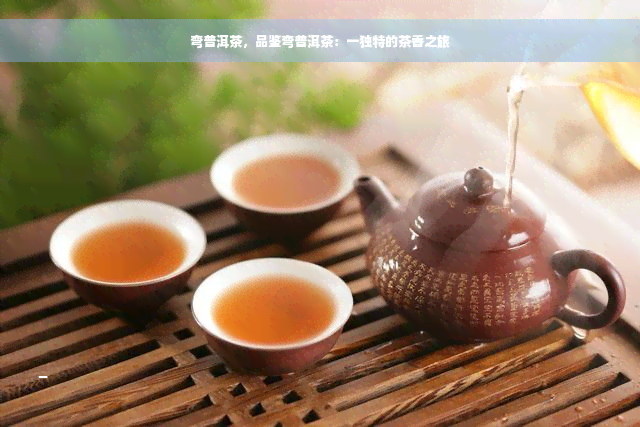 弯普洱茶，品鉴弯普洱茶：一独特的茶香之旅