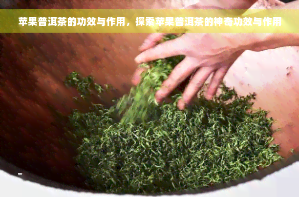 苹果普洱茶的功效与作用，探索苹果普洱茶的神奇功效与作用