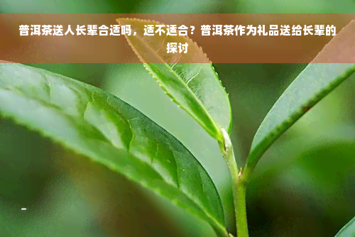 普洱茶送人长辈合适吗，适不适合？普洱茶作为礼品送给长辈的探讨