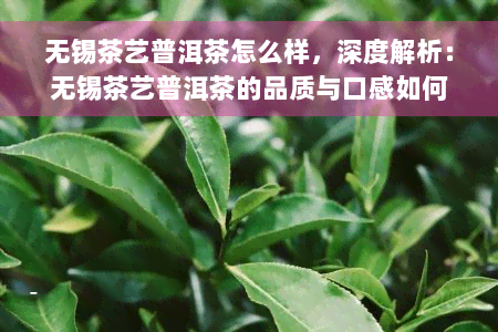 无锡茶艺普洱茶怎么样，深度解析：无锡茶艺普洱茶的品质与口感如何？