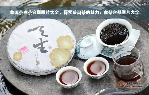 普洱茶煮茶容器图片大全，探索普洱茶的魅力：煮茶容器图片大全