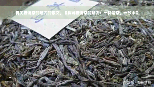 有关普洱茶的魅力的散文，《探寻普洱茶的魅力：一杯清茶，一故事》