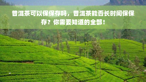 普洱茶可以保保存吗，普洱茶能否长时间保保存？你需要知道的全部！