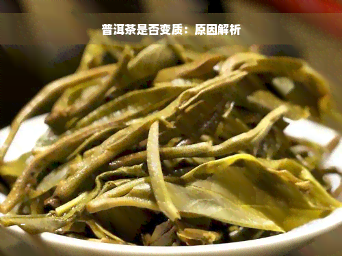 普洱茶是否变质：原因解析