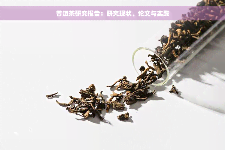 普洱茶研究报告：研究现状、论文与实践