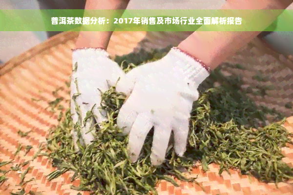 普洱茶数据分析：2017年销售及市场行业全面解析报告