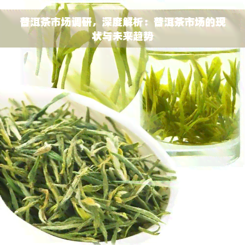 普洱茶市场调研，深度解析：普洱茶市场的现状与未来趋势