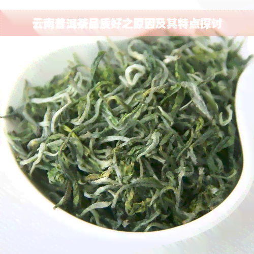 云南普洱茶品质好之原因及其特点探讨