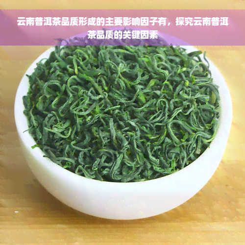 云南普洱茶品质形成的主要影响因子有，探究云南普洱茶品质的关键因素