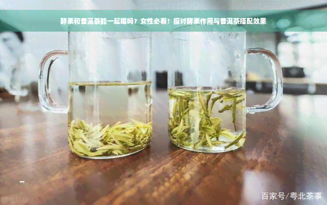 酵素和普洱茶能一起喝吗？女性必看！探讨酵素作用与普洱茶搭配效果