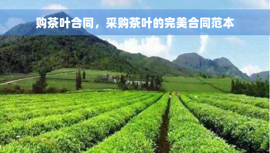 购茶叶合同，采购茶叶的完美合同范本