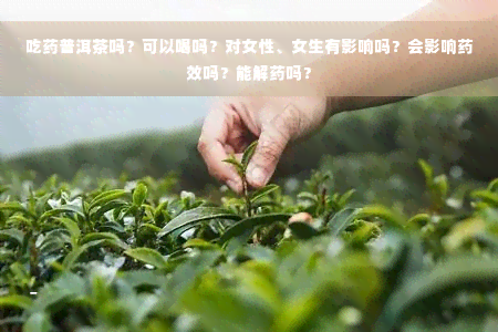 吃药普洱茶吗？可以喝吗？对女性、女生有影响吗？会影响药效吗？能解药吗？