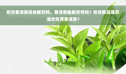 吃药普洱茶吗会解药吗，普洱茶能解药性吗？吃药期间是否适合饮用普洱茶？