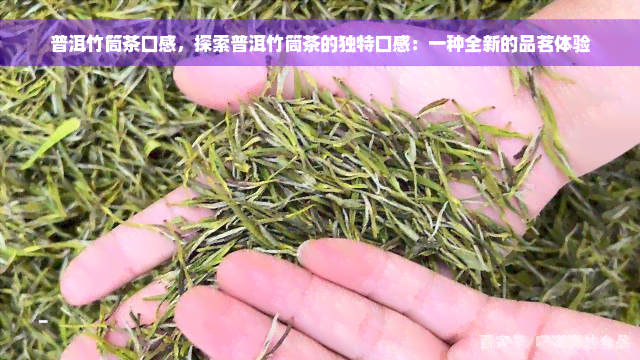 普洱竹筒茶口感，探索普洱竹筒茶的独特口感：一种全新的品茗体验