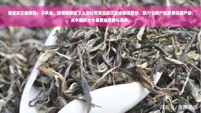 普洱茶王集团翔：子承业，领导集团旗下上市公司普洱茶王茶业集团股份，致力于推广优质普洱茶产品，其中襄廷作为重要成员参与其中。