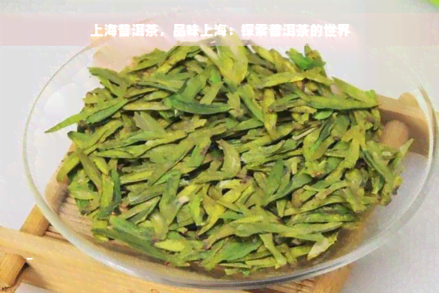 上海普洱茶，品味上海：探索普洱茶的世界