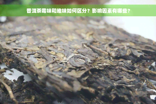 普洱茶霉味和堆味如何区分？影响因素有哪些？