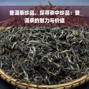 普洱茶珍品，探寻茶中珍品：普洱茶的魅力与价值