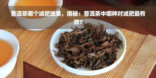 普洱茶哪个减肥效果，揭秘：普洱茶中哪种对减肥最有效？