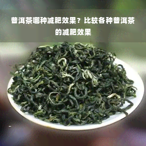 普洱茶哪种减肥效果？比较各种普洱茶的减肥效果