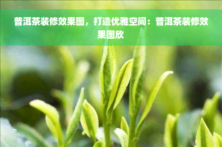 普洱茶装修效果图，打造优雅空间：普洱茶装修效果图欣