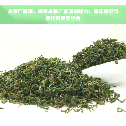 永茶厂普洱，探索永茶厂普洱的魅力：品味传统与现代的完美结合