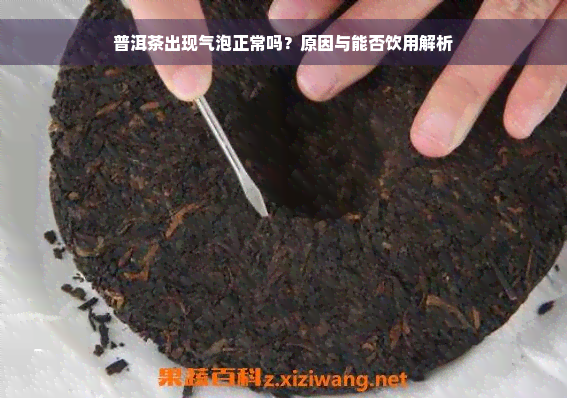 普洱茶出现气泡正常吗？原因与能否饮用解析