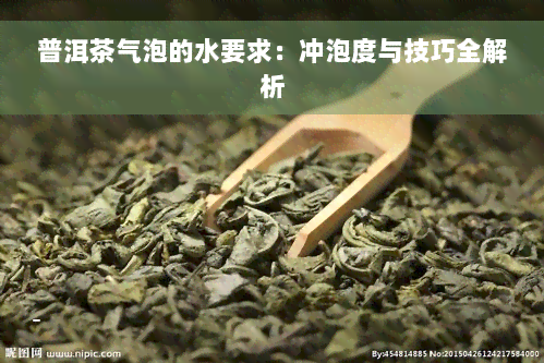 普洱茶气泡的水要求：冲泡度与技巧全解析