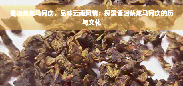 普洱茶龙马同庆，品味云南风情：探索普洱茶龙马同庆的历与文化