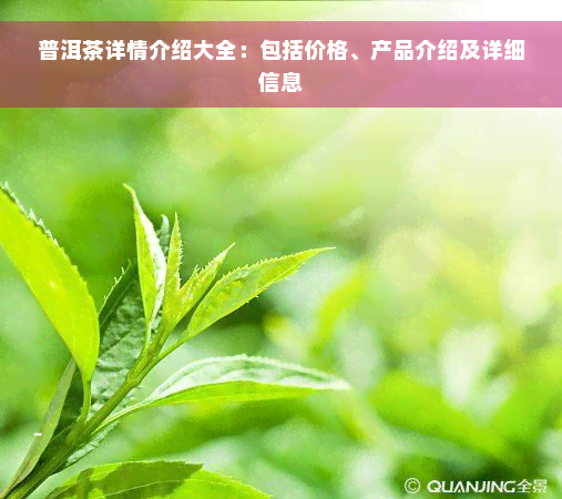 普洱茶详情介绍大全：包括价格、产品介绍及详细信息