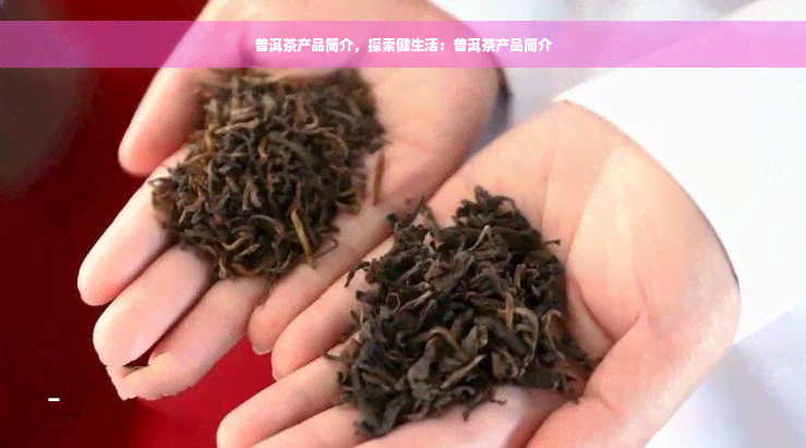 普洱茶产品简介，探索健生活：普洱茶产品简介