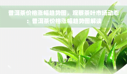 普洱茶价格涨幅趋势图，观察茶叶市场动态：普洱茶价格涨幅趋势图解读