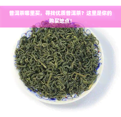 普洱茶哪里买，寻找优质普洱茶？这里是你的购买地点！