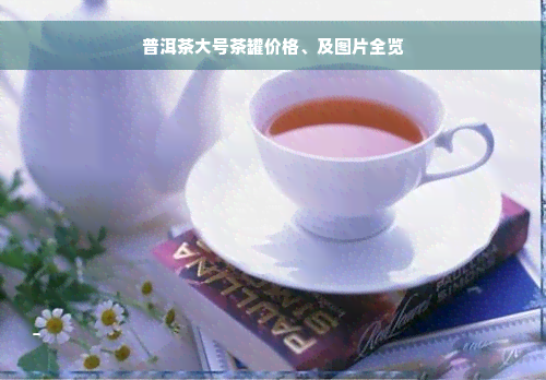 普洱茶大号茶罐价格、及图片全览