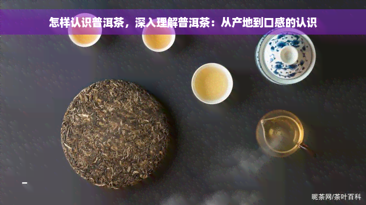 怎样认识普洱茶，深入理解普洱茶：从产地到口感的认识