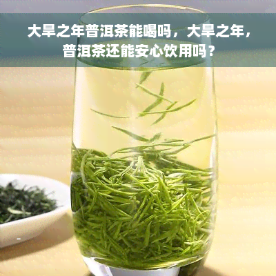 大旱之年普洱茶能喝吗，大旱之年，普洱茶还能安心饮用吗？