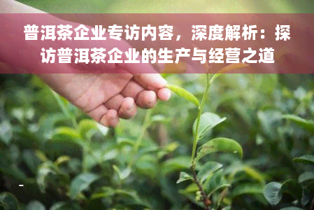 普洱茶企业专访内容，深度解析：探访普洱茶企业的生产与经营之道