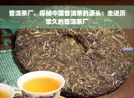 普洱茶厂，探秘中国普洱茶的源头：走进历悠久的普洱茶厂