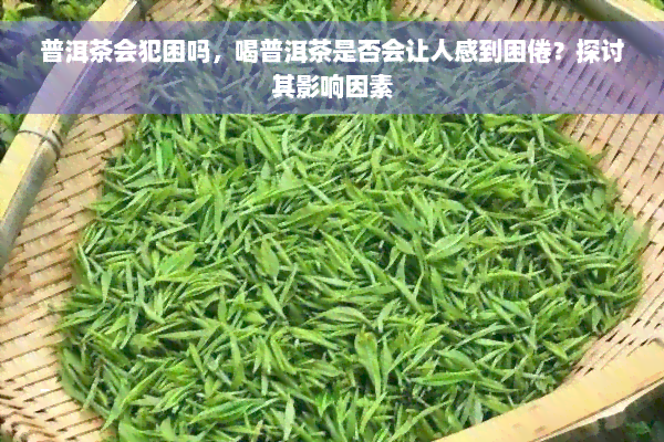 普洱茶会犯困吗，喝普洱茶是否会让人感到困倦？探讨其影响因素