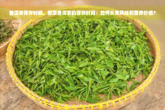 普洱茶保存时间，探索普洱茶的保存时间：如何长其风味和营养价值？