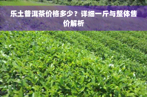 乐土普洱茶价格多少？详细一斤与整体售价解析