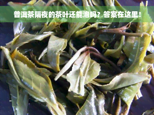 普洱茶隔夜的茶叶还能泡吗？答案在这里！