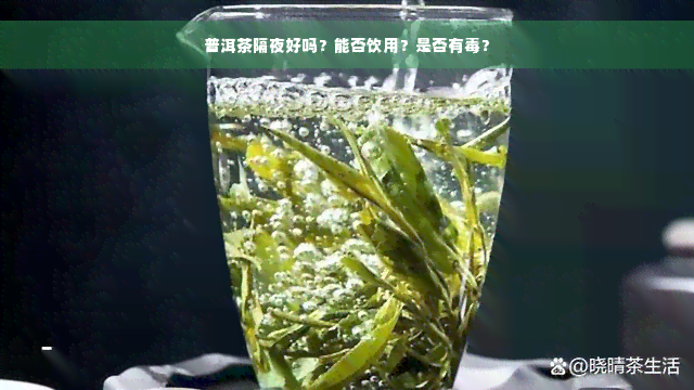 普洱茶隔夜好吗？能否饮用？是否有毒？