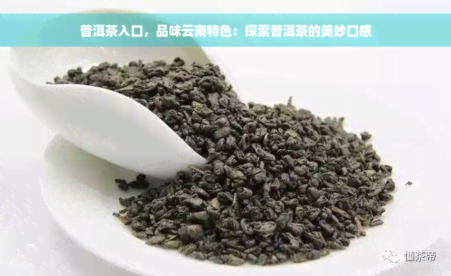 普洱茶入口，品味云南特色：探索普洱茶的美妙口感