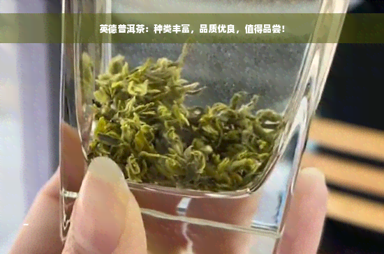 英德普洱茶：种类丰富，品质优良，值得品尝！