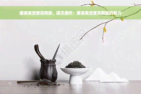 邂逅英茂普洱熟茶，遇见美好：邂逅英茂普洱熟茶的魅力