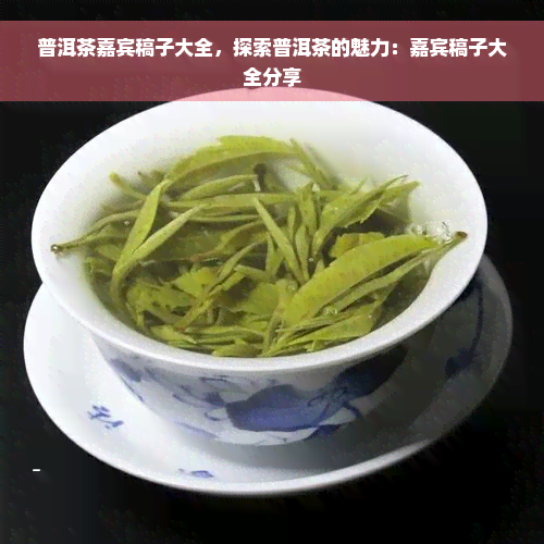 普洱茶嘉宾稿子大全，探索普洱茶的魅力：嘉宾稿子大全分享