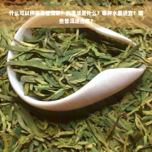 什么可以用来泡普洱茶？的泡法是什么？哪种水最适宜？哪些普洱适合煮？