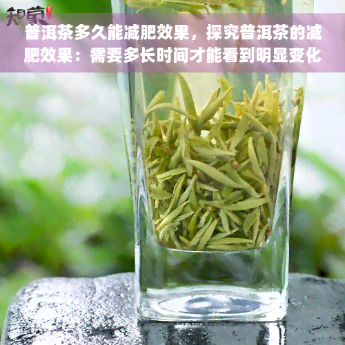 普洱茶多久能减肥效果，探究普洱茶的减肥效果：需要多长时间才能看到明显变化？