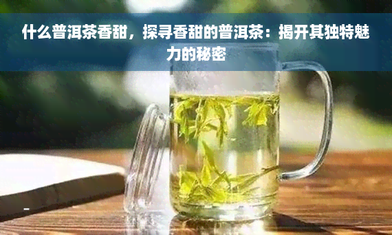 什么普洱茶香甜，探寻香甜的普洱茶：揭开其独特魅力的秘密